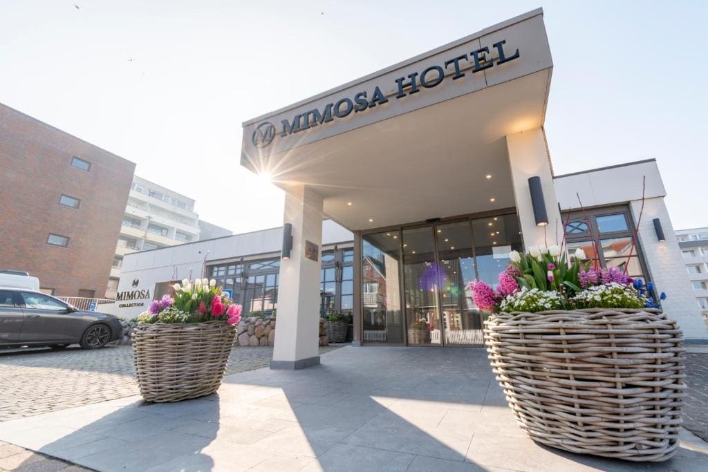 Mimosa Hotel - Main view