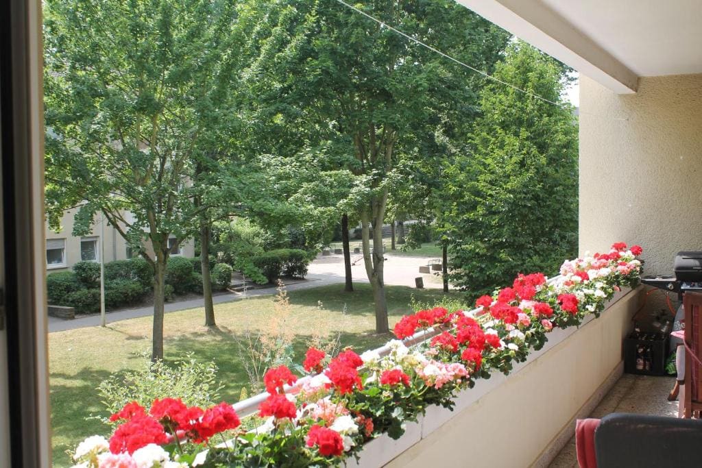 Bed & Breakfast Bonn - View 4