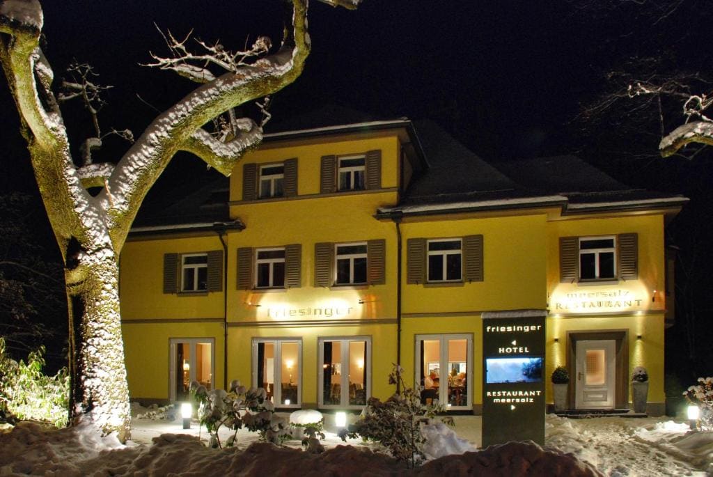 Boutique Hotel Friesinger - Main view