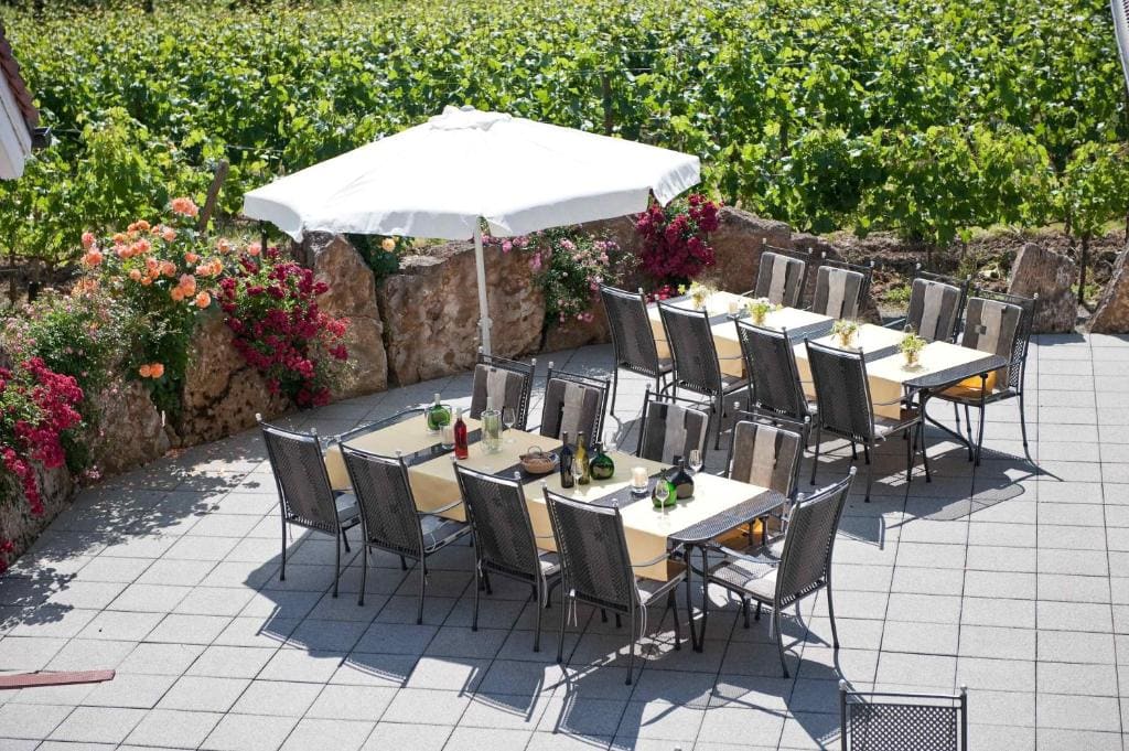 Felshof - Weingut & Gästehaus - View 5