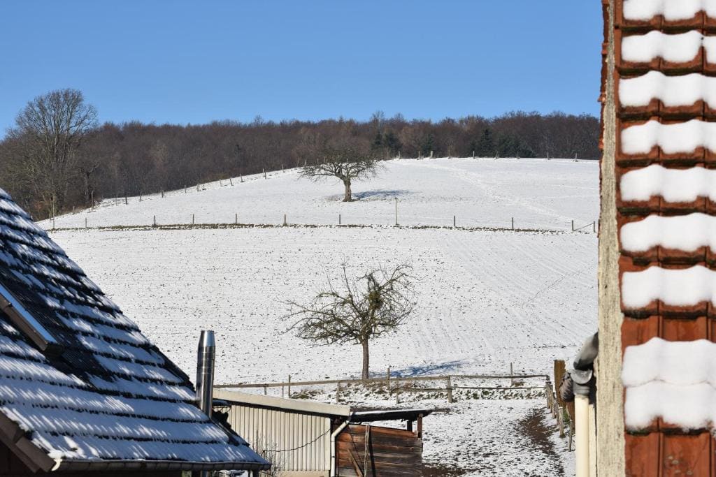 Ferienbauernhof Brandt - View 5