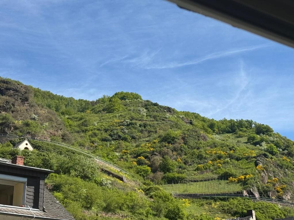 Ferienweingut Rudorfer - View 2