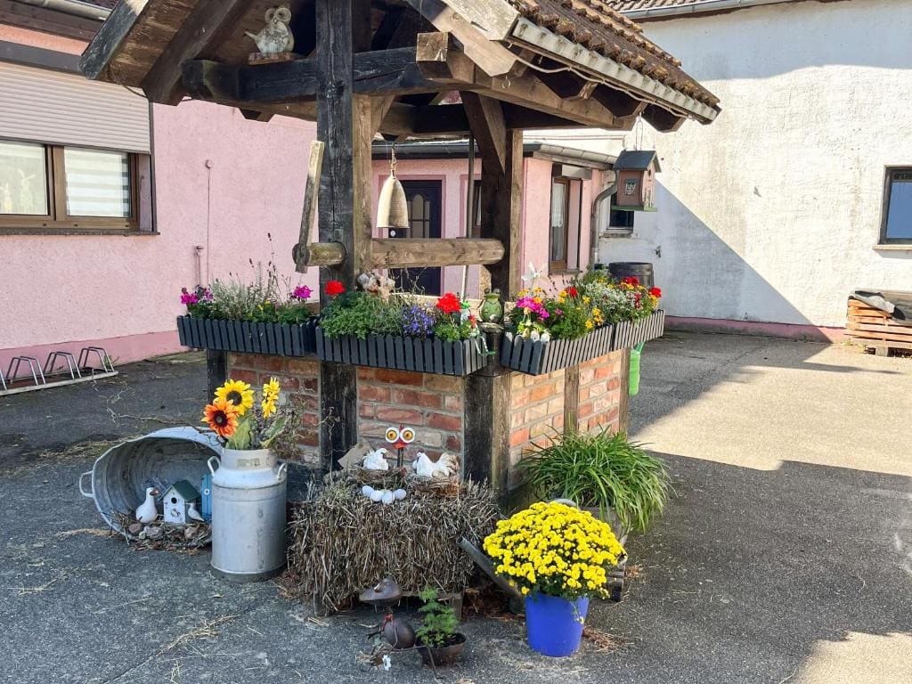 Ferienwohnung auf dem Alpaka-Hof - Main view