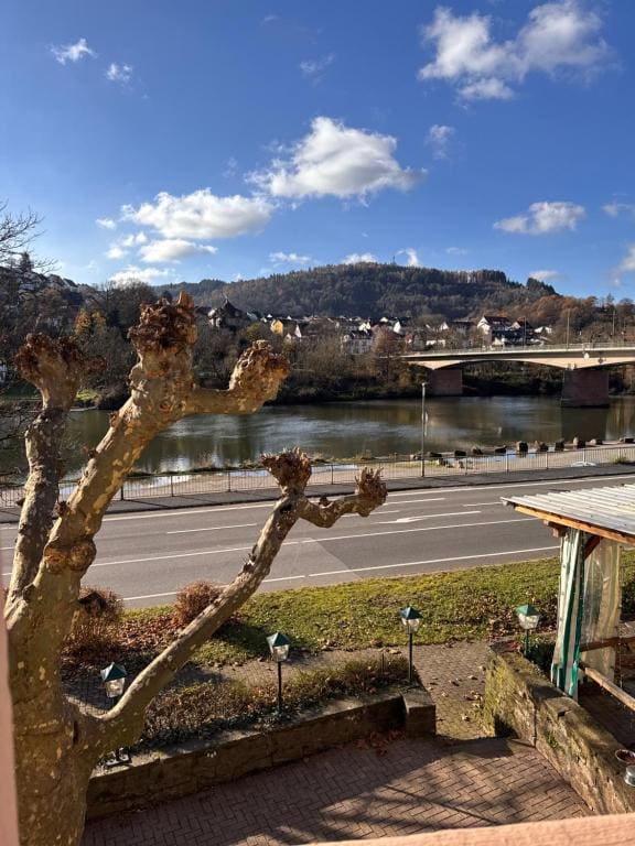 Gasthaus & Pension Grüner Baum Eberbach - عرض 7
