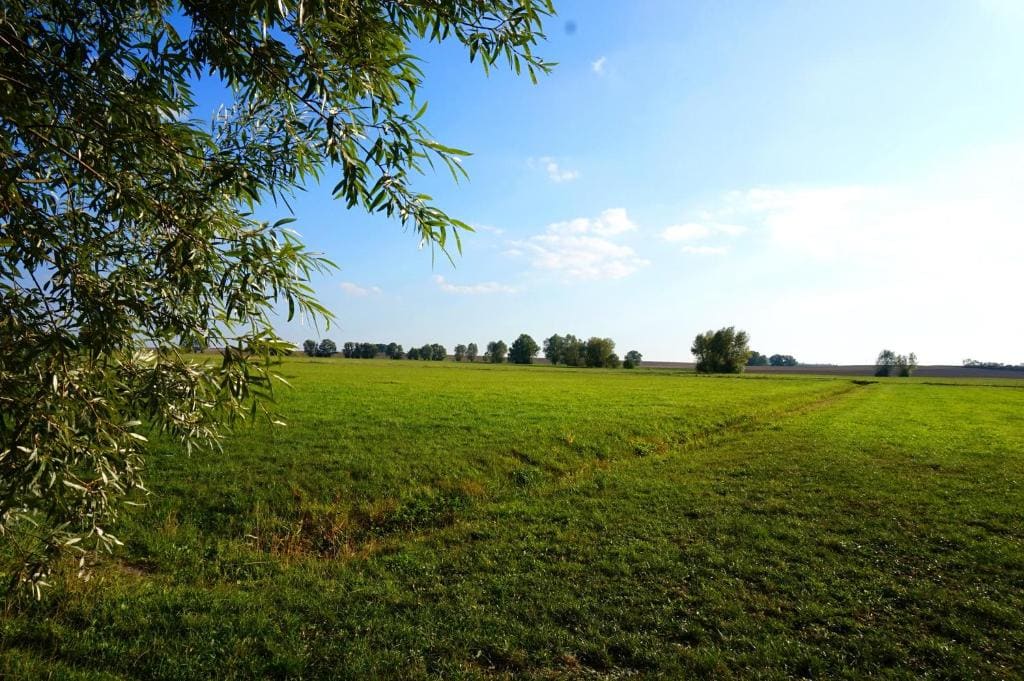 Gasthaus Zur Krone - View 4