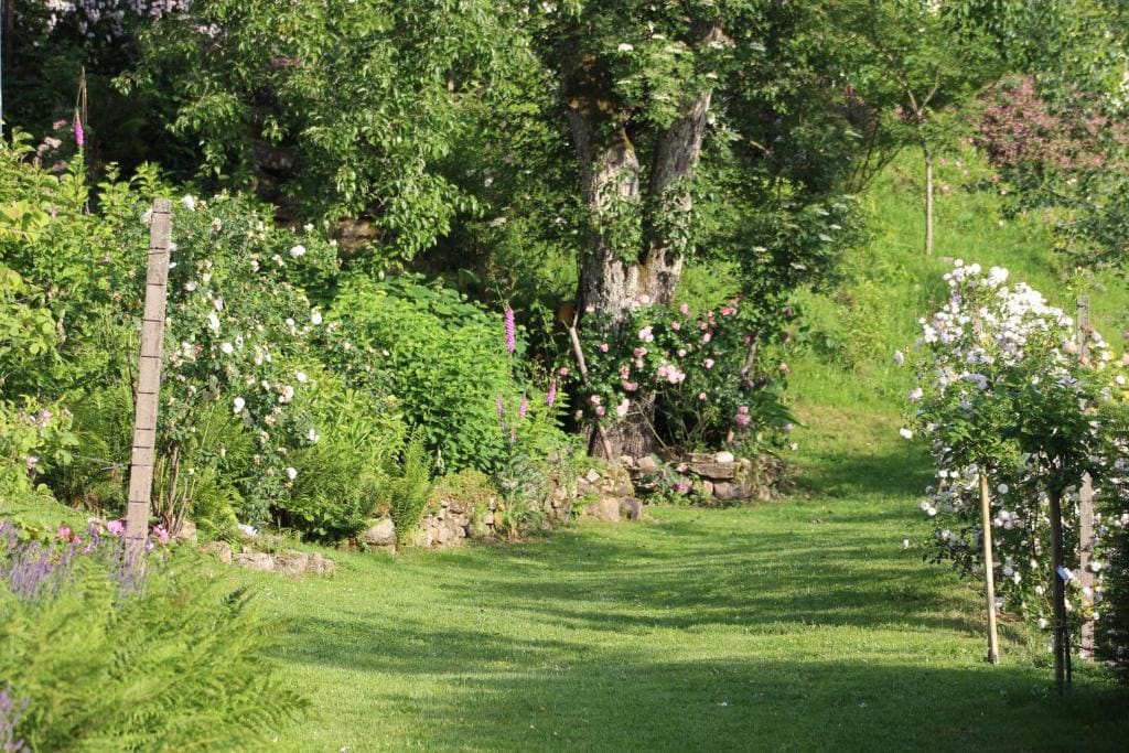 The Moosbach Garden - View 3