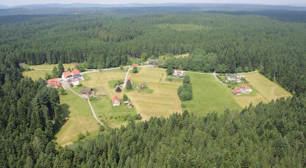 Gasthof "Zum Steinwald" - View 4