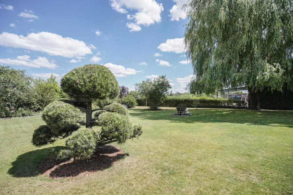 Pension Zum Goldenen Stern - Main view