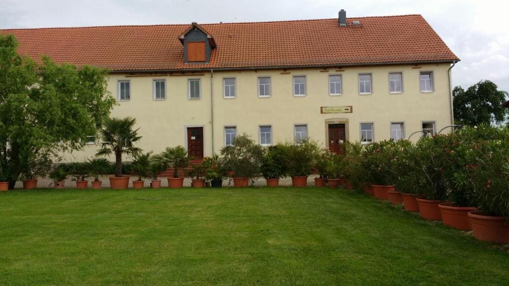 Kornkäfer Kleinmockritz - View 7