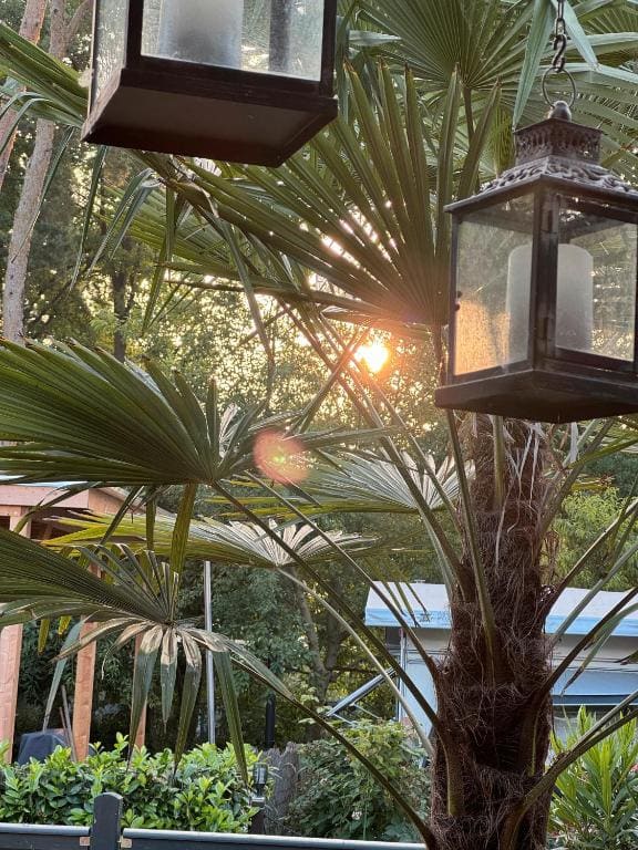 La Pura Vida - Glamping - 图片 7