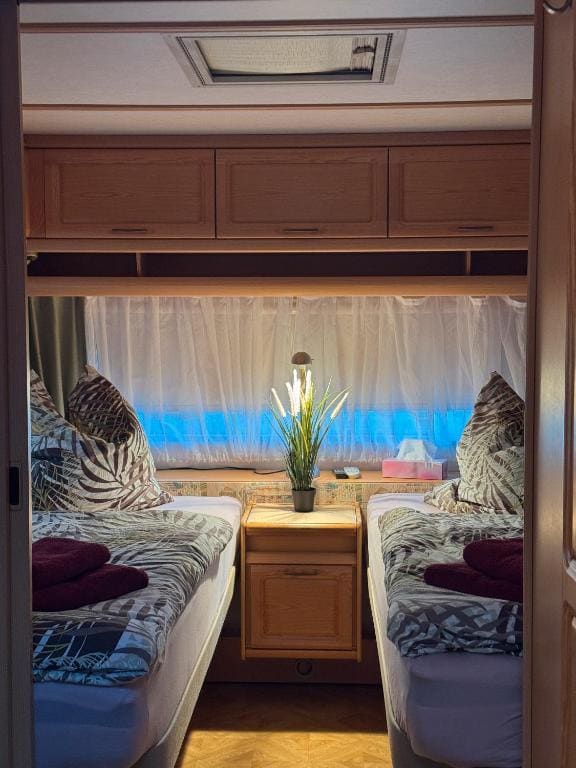 La Pura Vida - Glamping - 图片 5