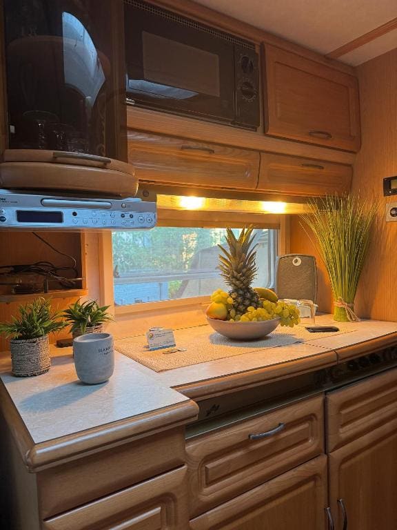 La Pura Vida - Glamping - 图片 3