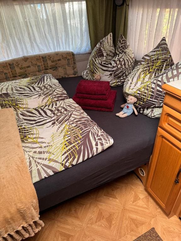 La Pura Vida - Glamping - 主图