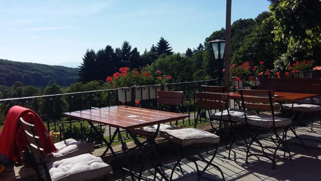 Landgasthof Grüner Baum - View 4