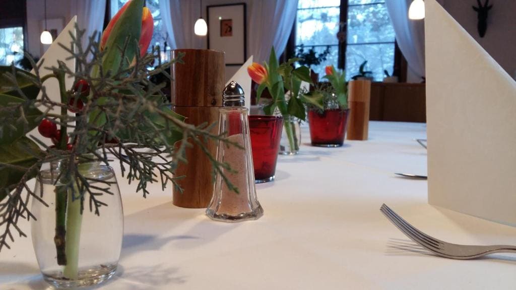 Landgasthof Grüner Baum - View 6