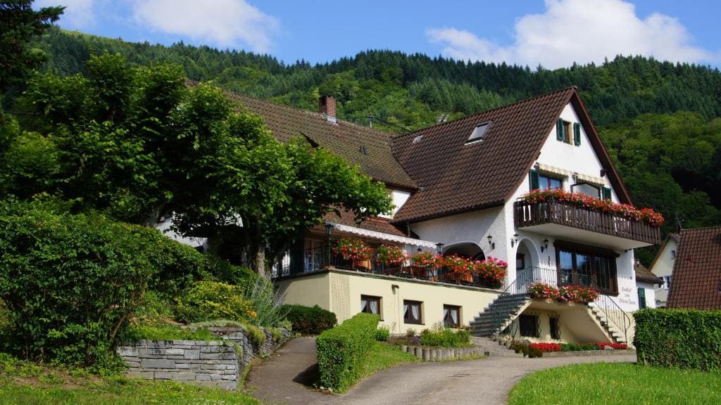 Landgasthof Grüner Baum - Main view