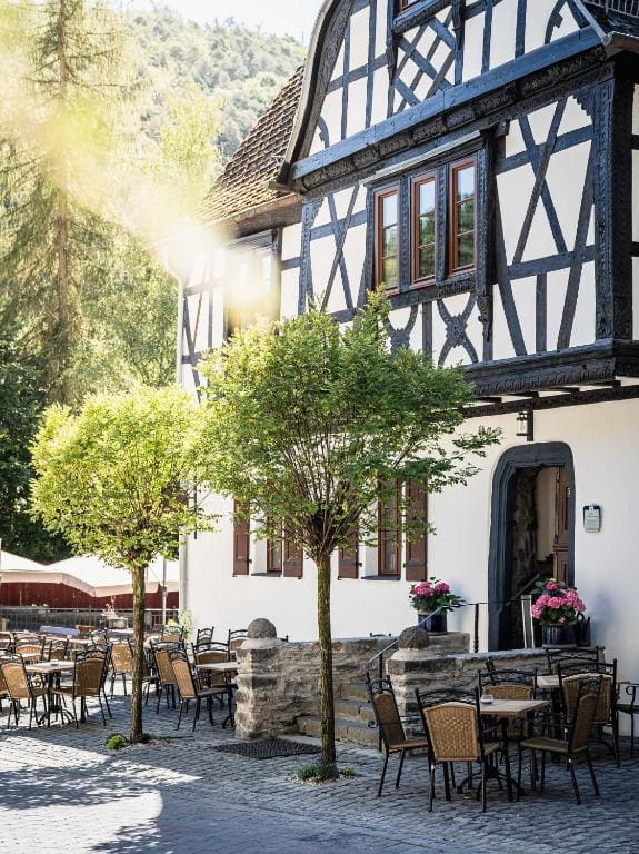 Landgasthof zur Burg Grenzau - Main view