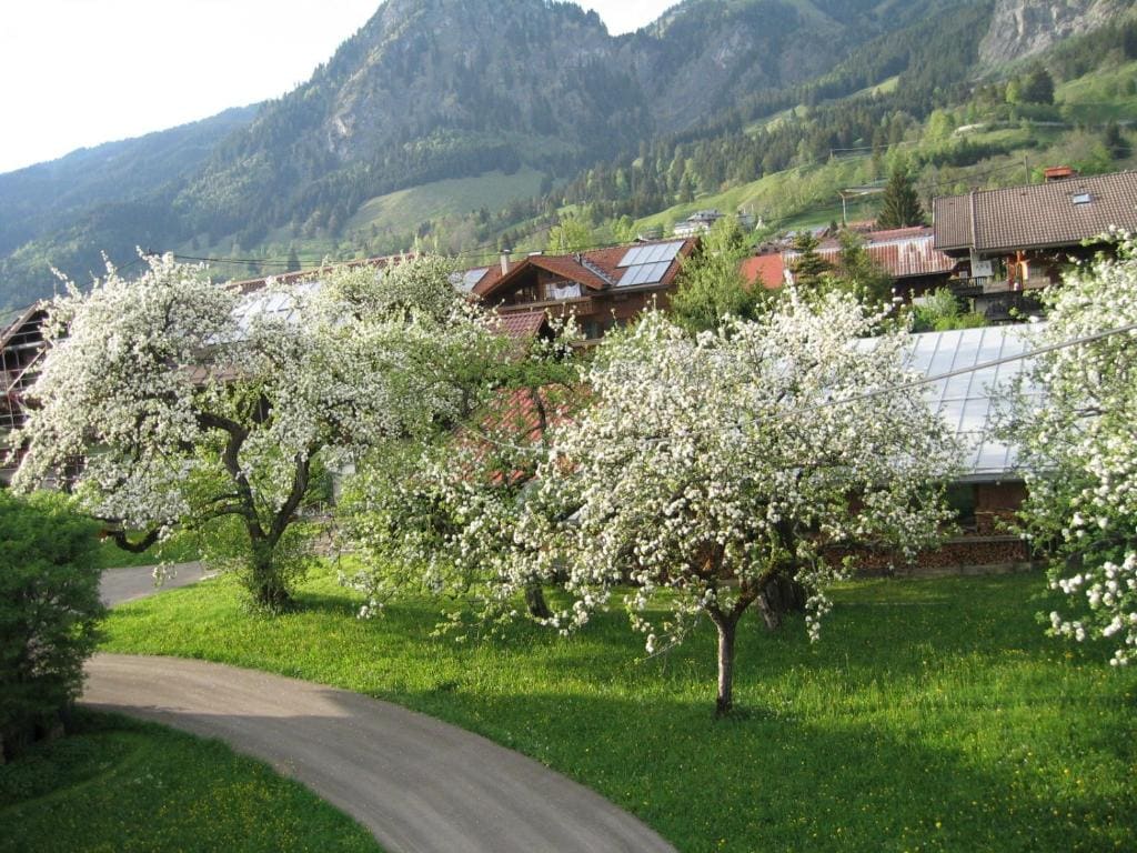 Landhaus Beßler - View 4