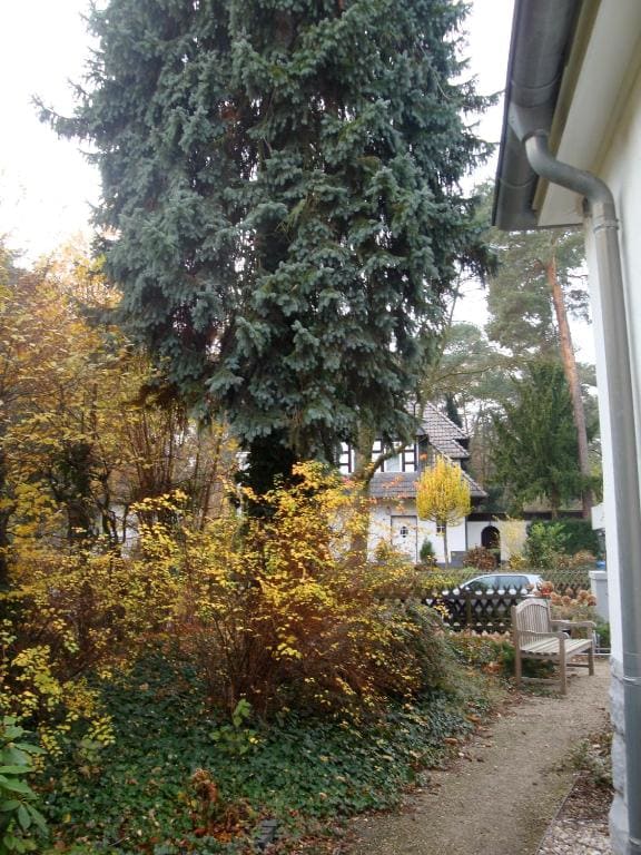 Hotel Landhaus Schlachtensee - View 7