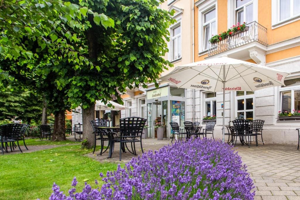 Hotel Lindenhof Bad Schandau - View 4
