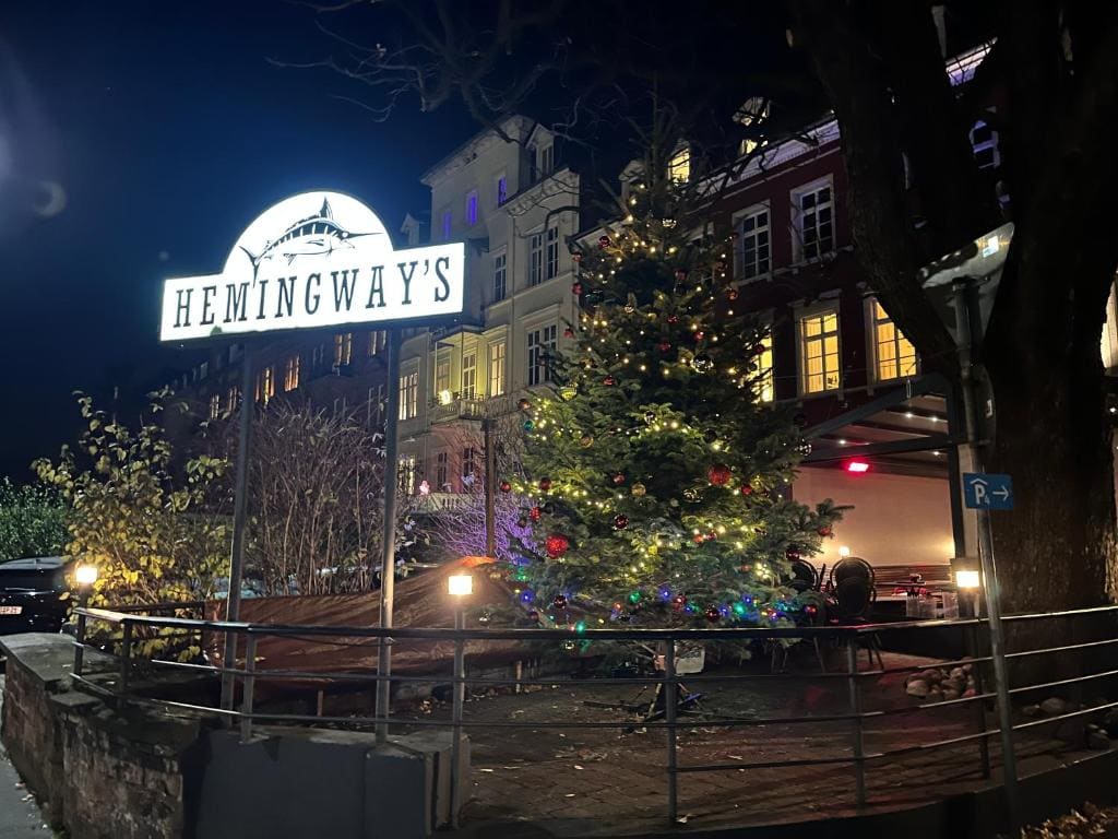 Hemingway`s Heidelberg Hostel - View 4