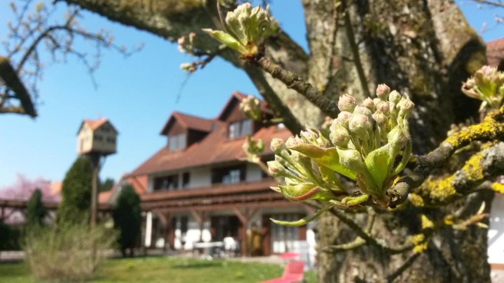 Pension Aufeld - View 4