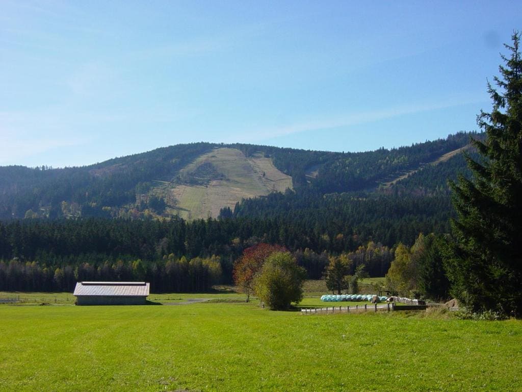 Ferienwohnungen König - View 7