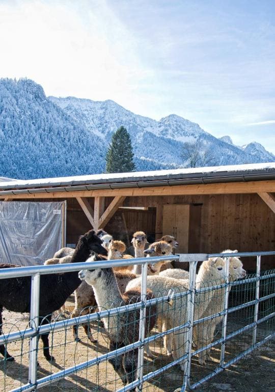 Pension Restner - View 2