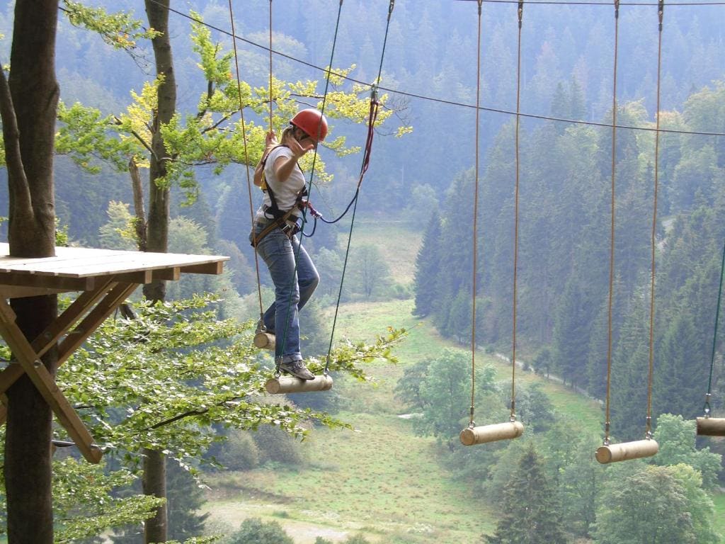 Pension Ferienwohnungen Rosenschlösschen - View 6