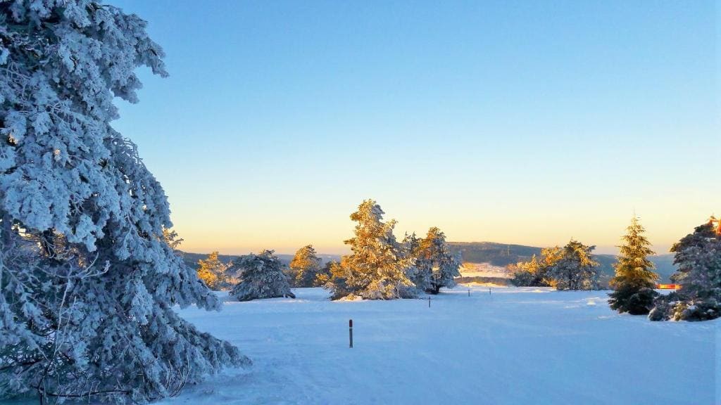 Pension Ferienwohnungen Rosenschlösschen - View 7