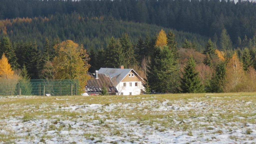 Pension Waldhaus - View 7
