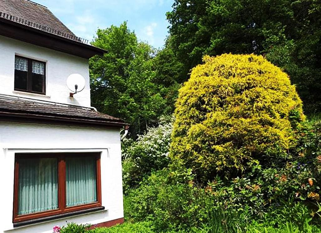 Green Corner Nürburg - Main view