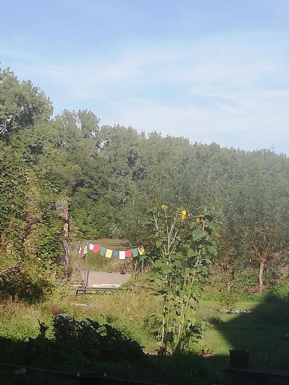 Schloss Ruhethal - View 2