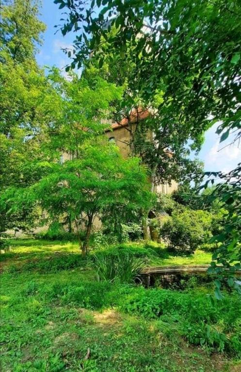 Schloss Ruhethal - View 6
