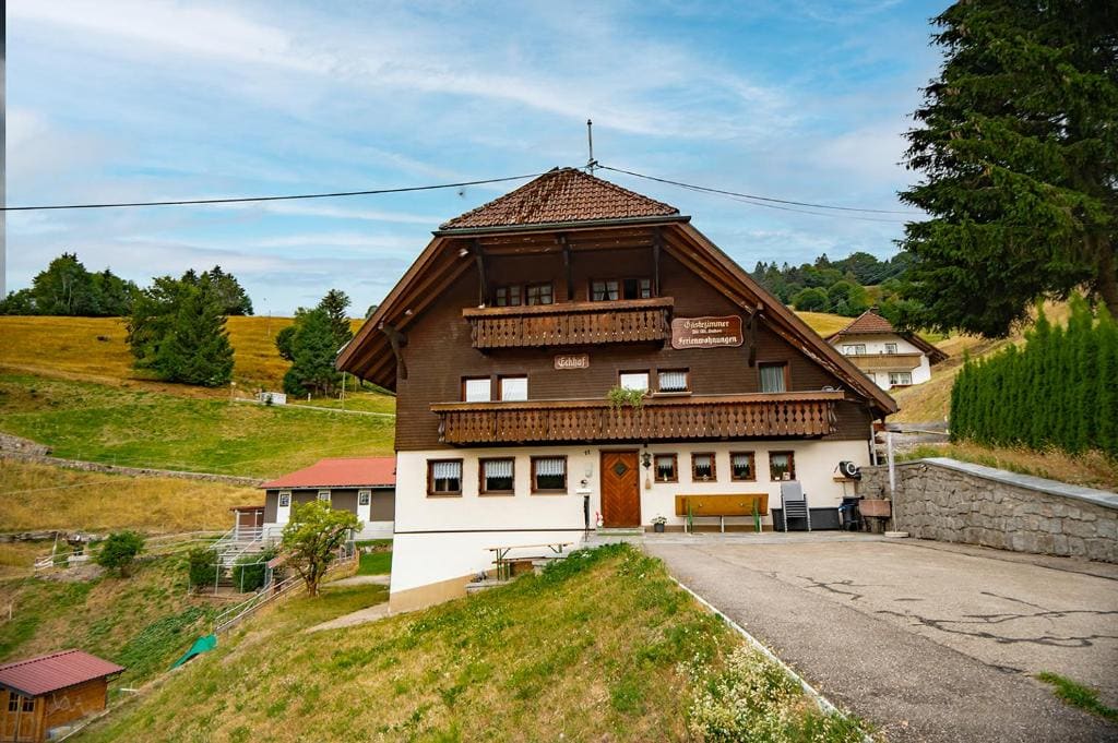 Schwarzwald Hotel Wiedenerhof - Main view