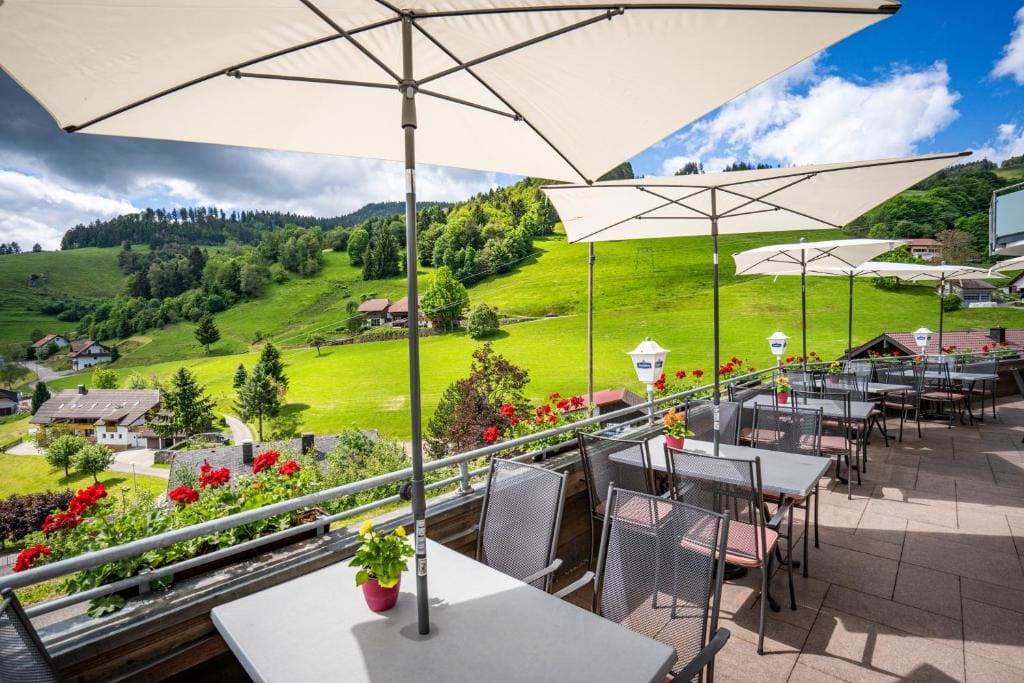 Schwarzwald Hotel Wiedenerhof - View 4