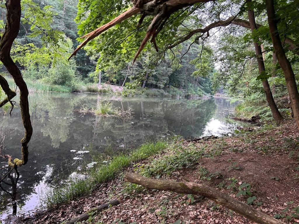 Waldfloß Biberspur - View 6