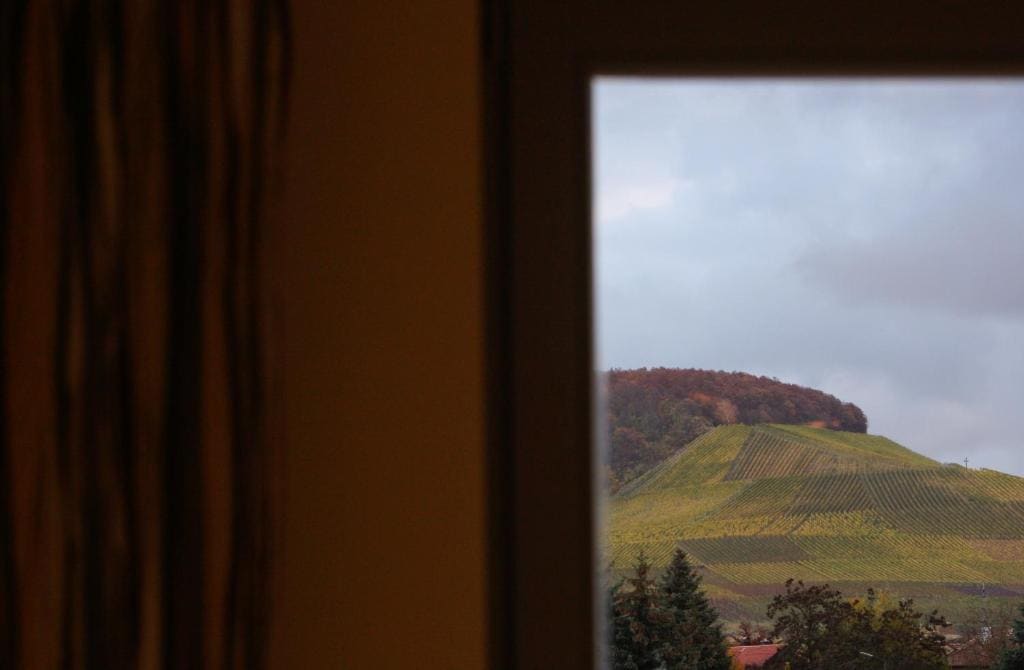 Gästehaus Weigand - View 2