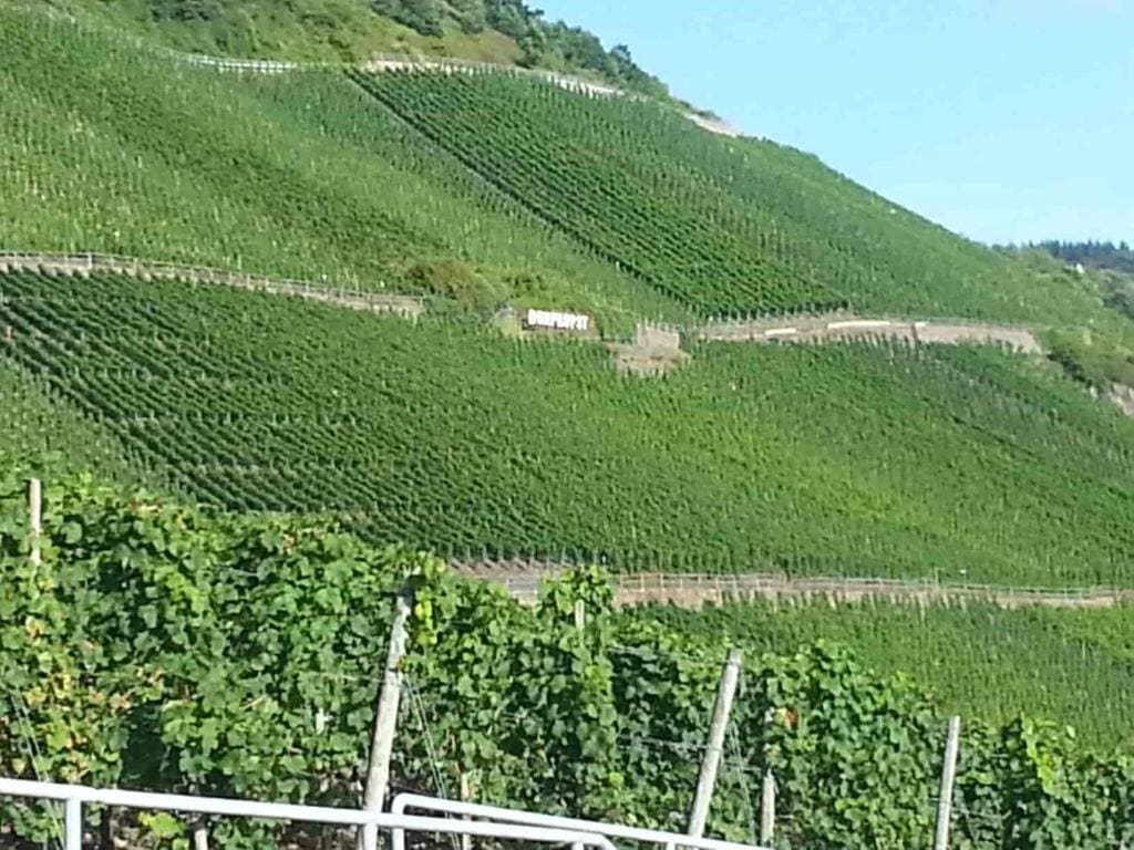 Hotel zum Josefshof - View 2