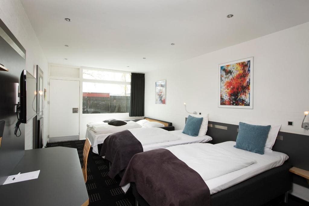 Hotel Hedegaarden - View 2