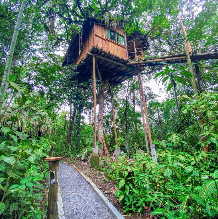 Eden Treehouse - Main view