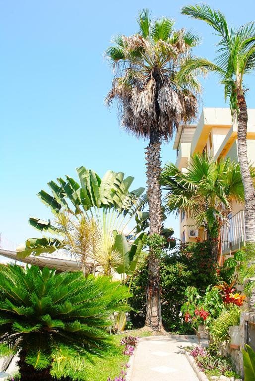 Hostal Antares - Main view