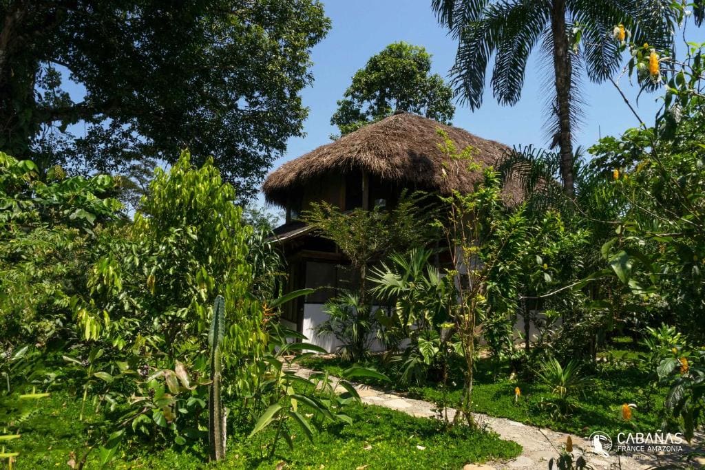 Lodge France Amazonia - Main view
