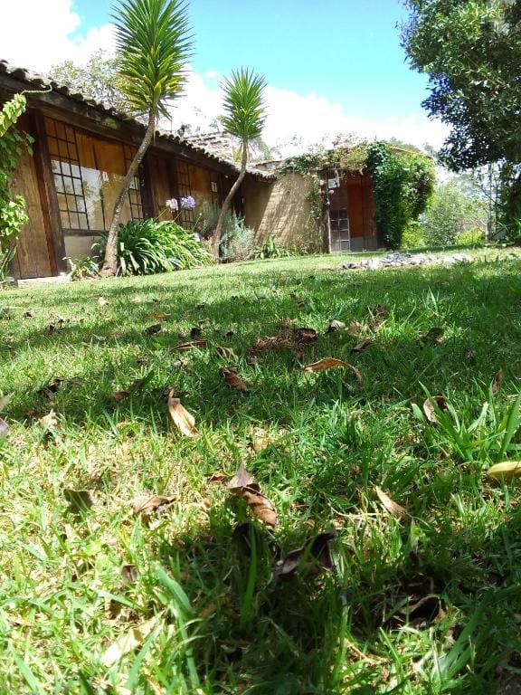 Marambu Pukyu - Main view