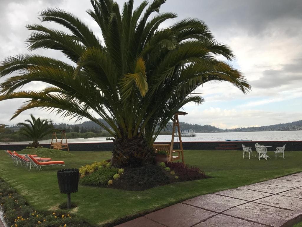 Puertolago Country Inn & Resort - View 7