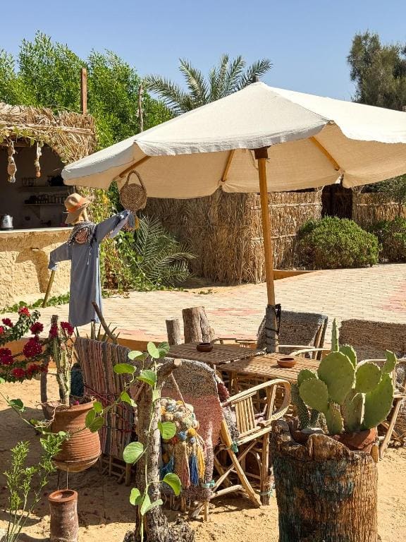 Cafour House Siwa - Hot Spring - View 4
