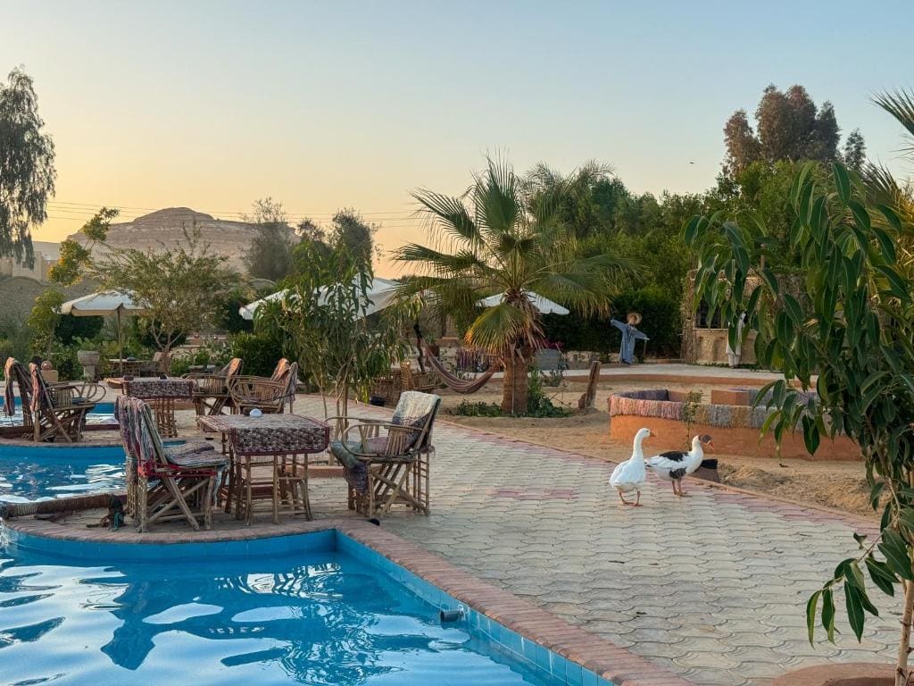 Cafour House Siwa - Hot Spring - View 3