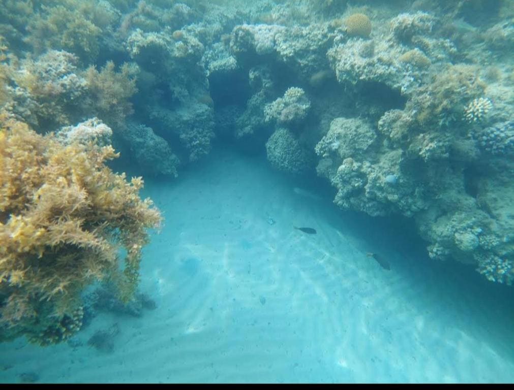 Mermaid camp - View 2