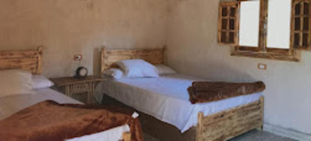Siwa Oasis Camp & Lodge Desert Experience Tours - View 6