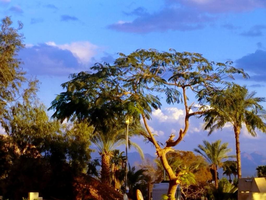 Taba Sands Hotel & Casino - View 4